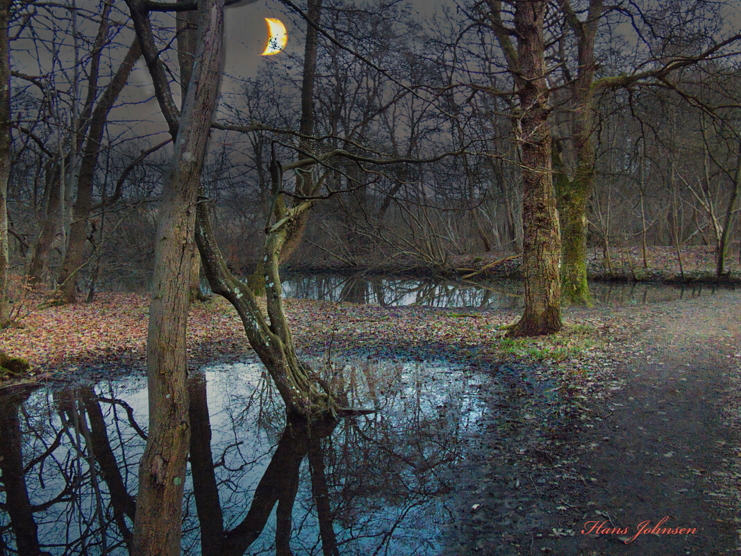 aftenstund ved Damende  – Hans Johnsen