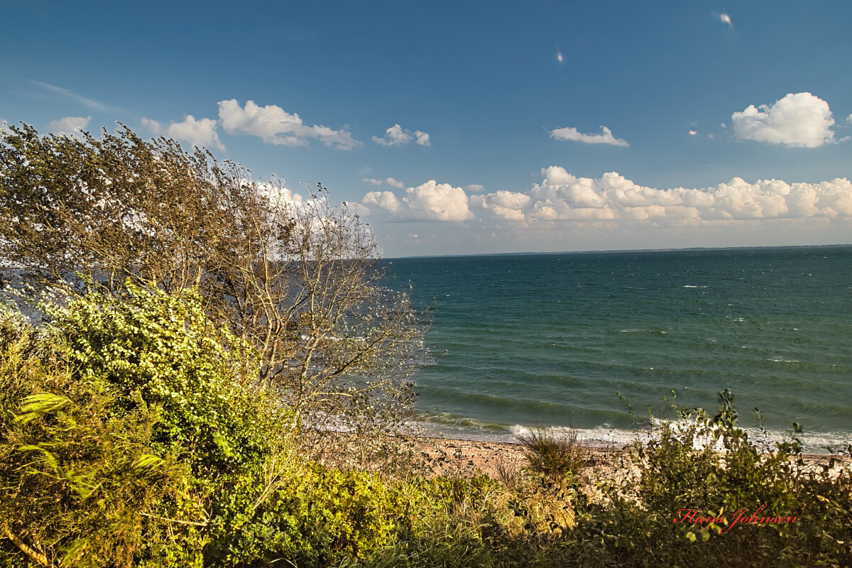 ved Halk strand i 2017 – Hans Johnsen