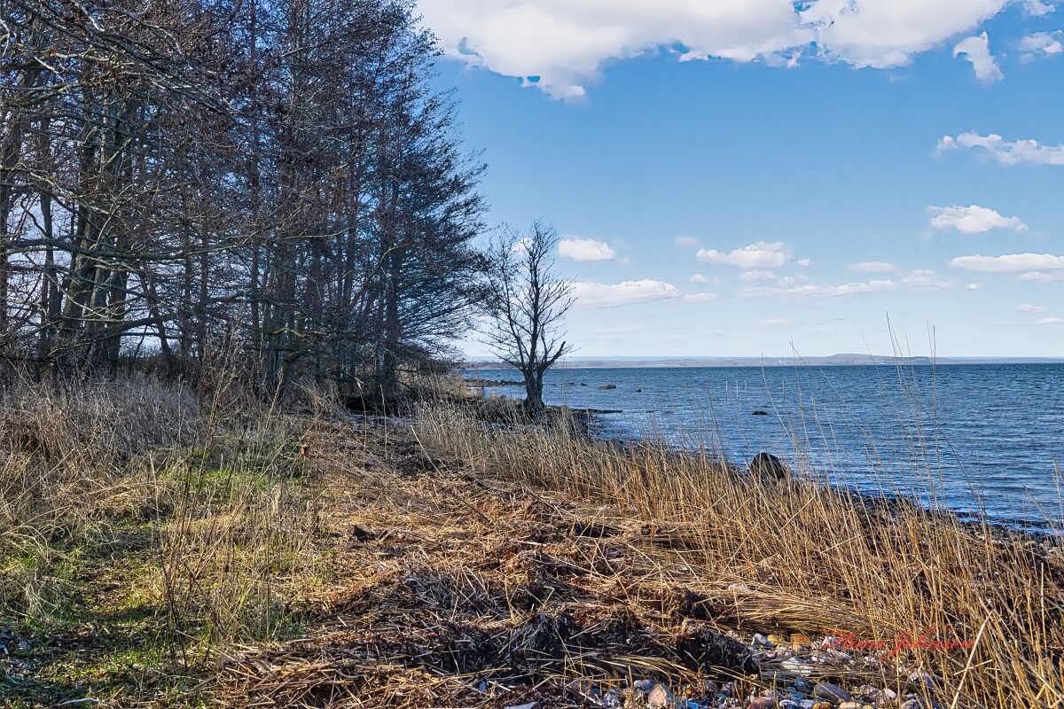 Flot natur ved Årøsund – Hans Johnsen