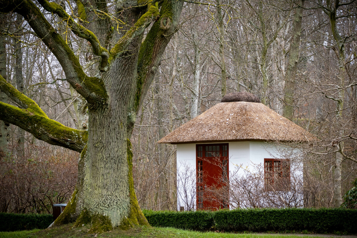 Frederikshavn Bangsbo botanisk have  – Ellen Lock Jensen