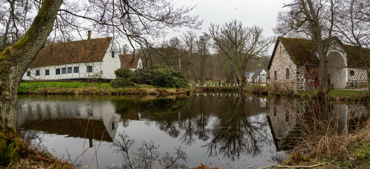 Frederikshavn Bangsbo botanisk have – Ellen Lock Jensen