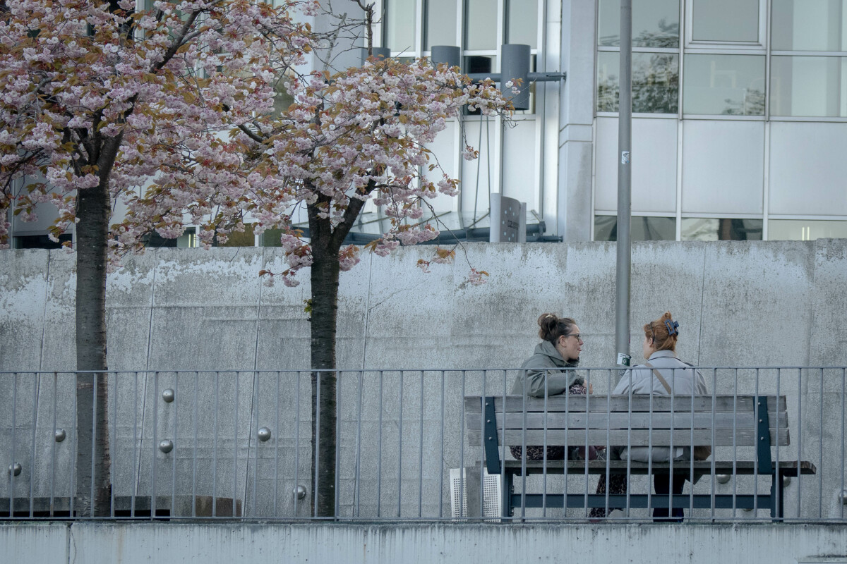Møde på bænken – Ellen Lock Jensen