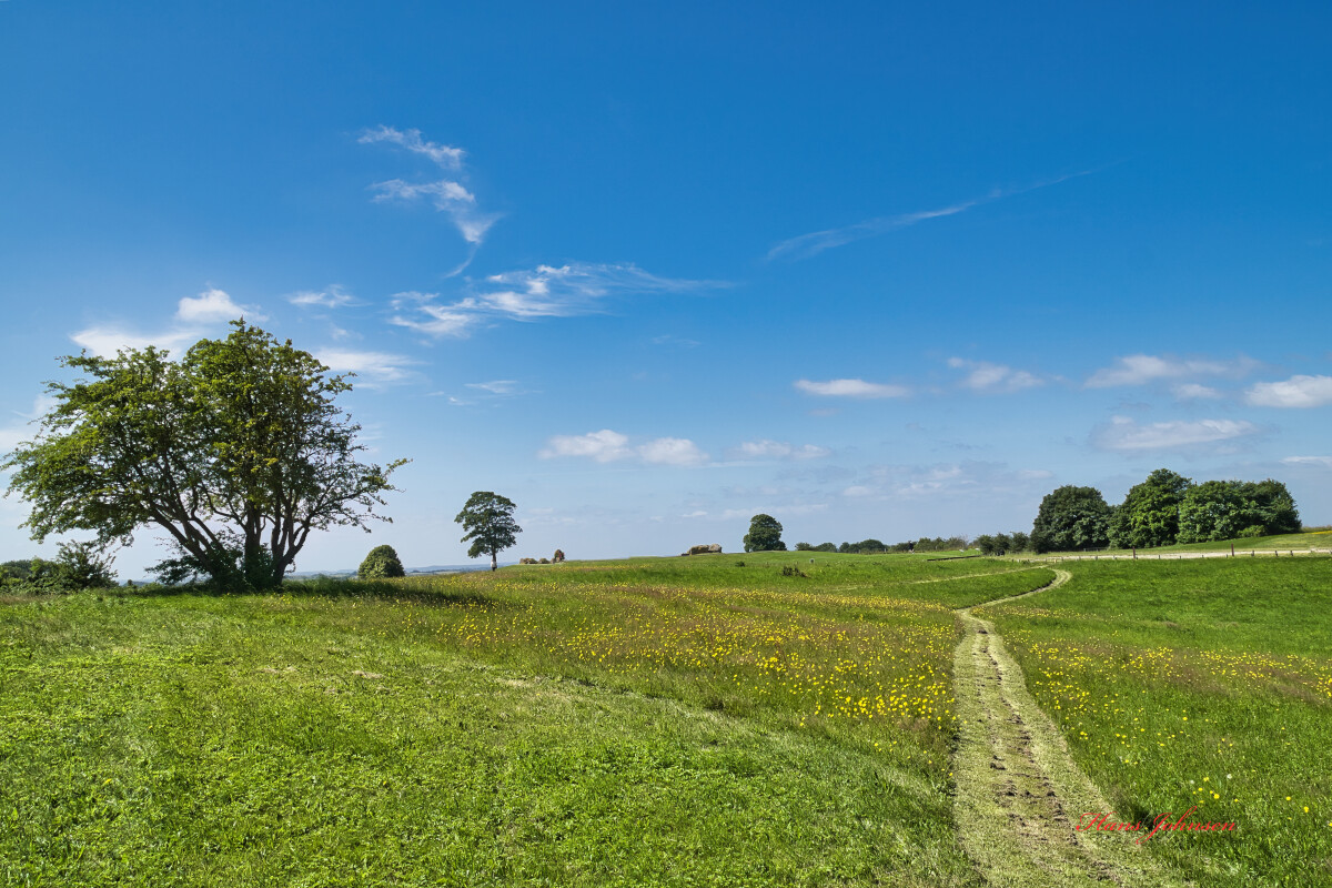 ved dybbøl mølle – Hans Johnsen