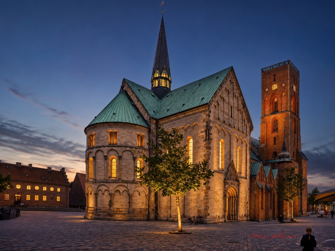 Ribe domkirke – Hans Johnsen