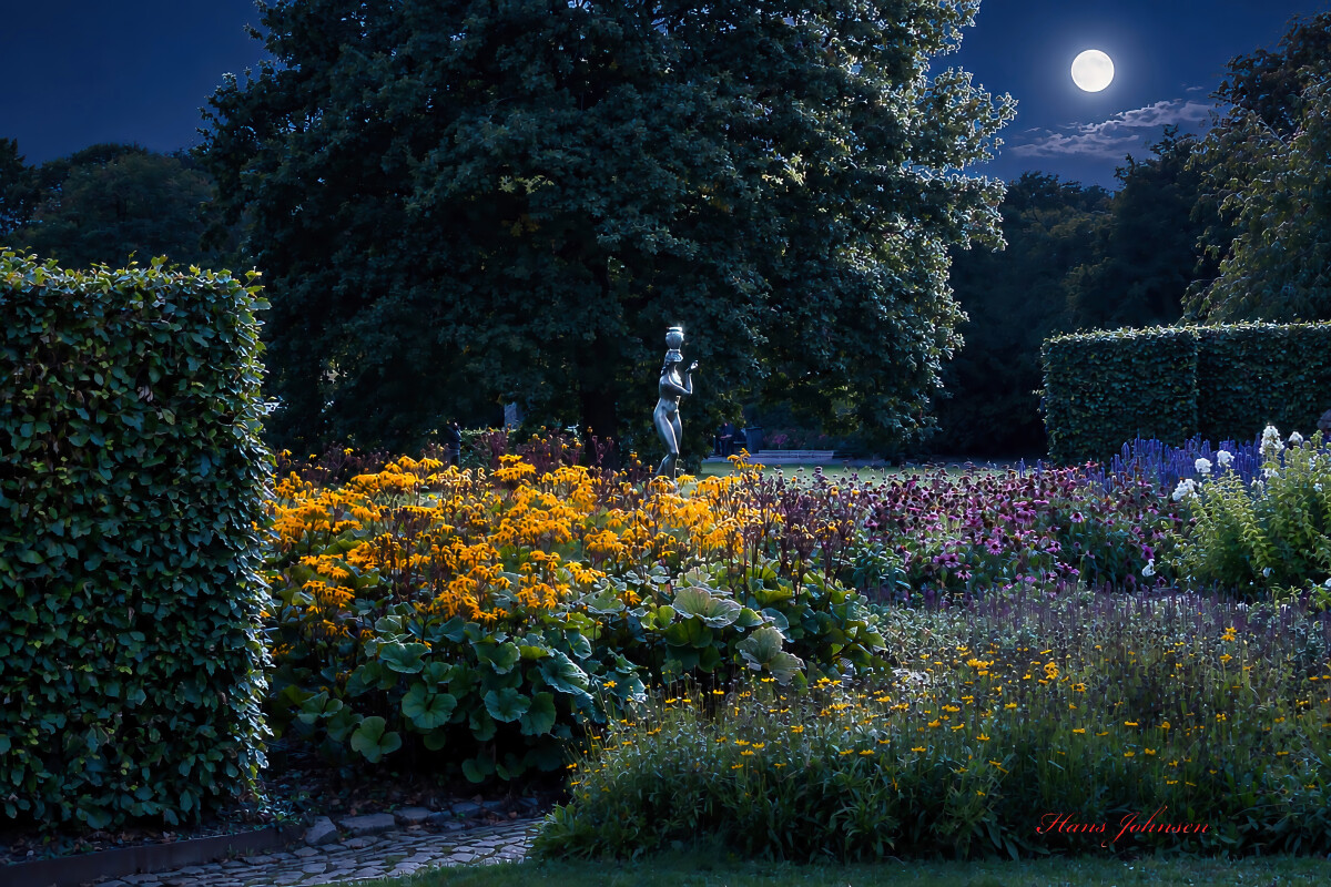 fra Damparken – Hans Johnsen
