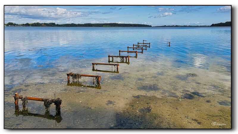 Kalvø.