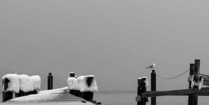 Sølyst