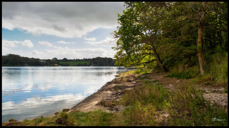 Kalvø 3