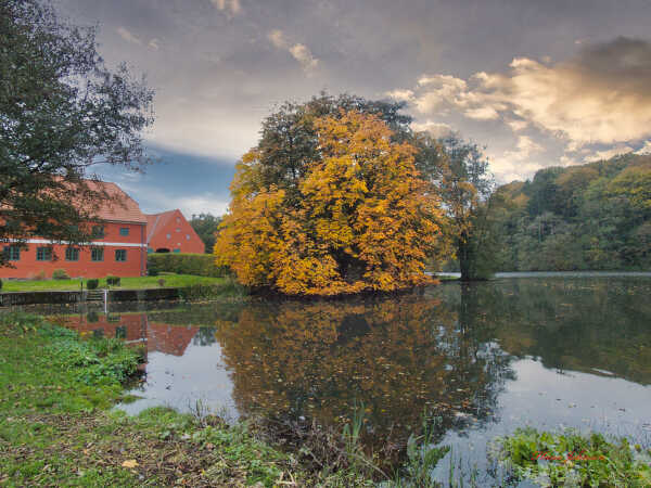 efterår ved Tørningmølle