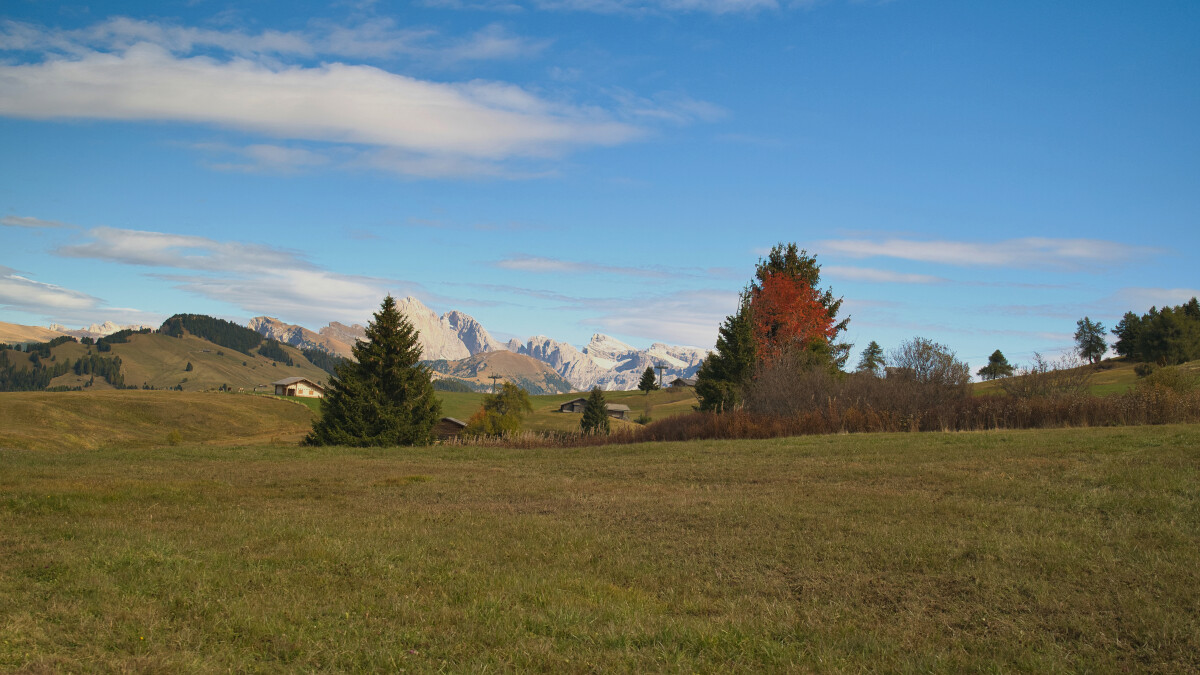 DSC_7649 – Hans Ejvind Nissen