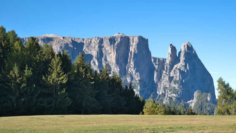 DSC_7095 (1)