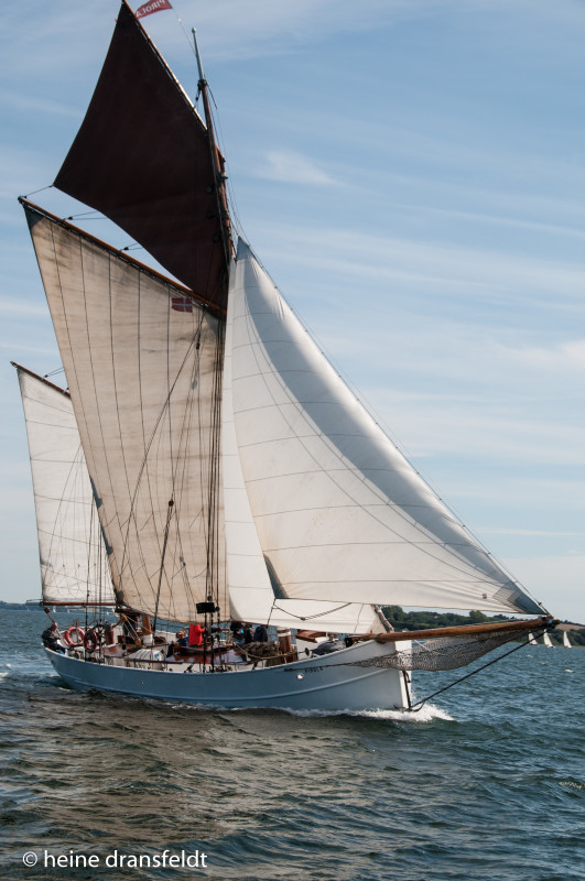 20150829-HD-DSC_2358 – Heine Dransfeldt