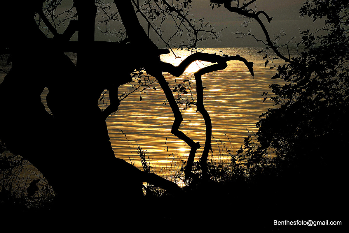 Go` morgen... – Benthe Sørensen