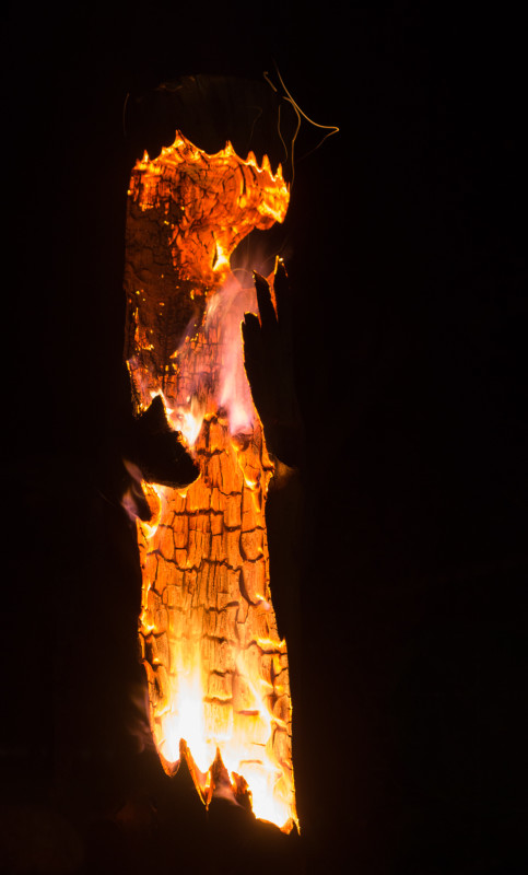 LogonFire – Peter R. Larsen 