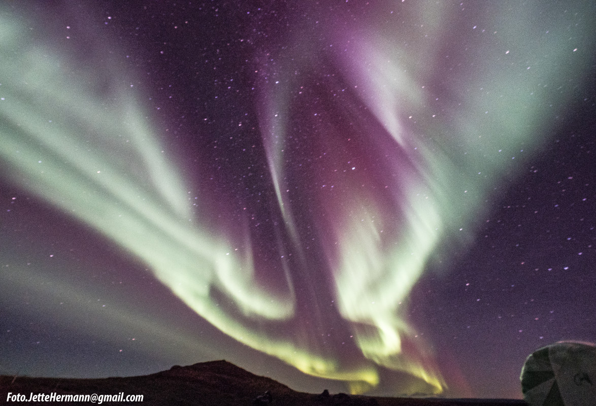 Nordlys – Jette Hermann