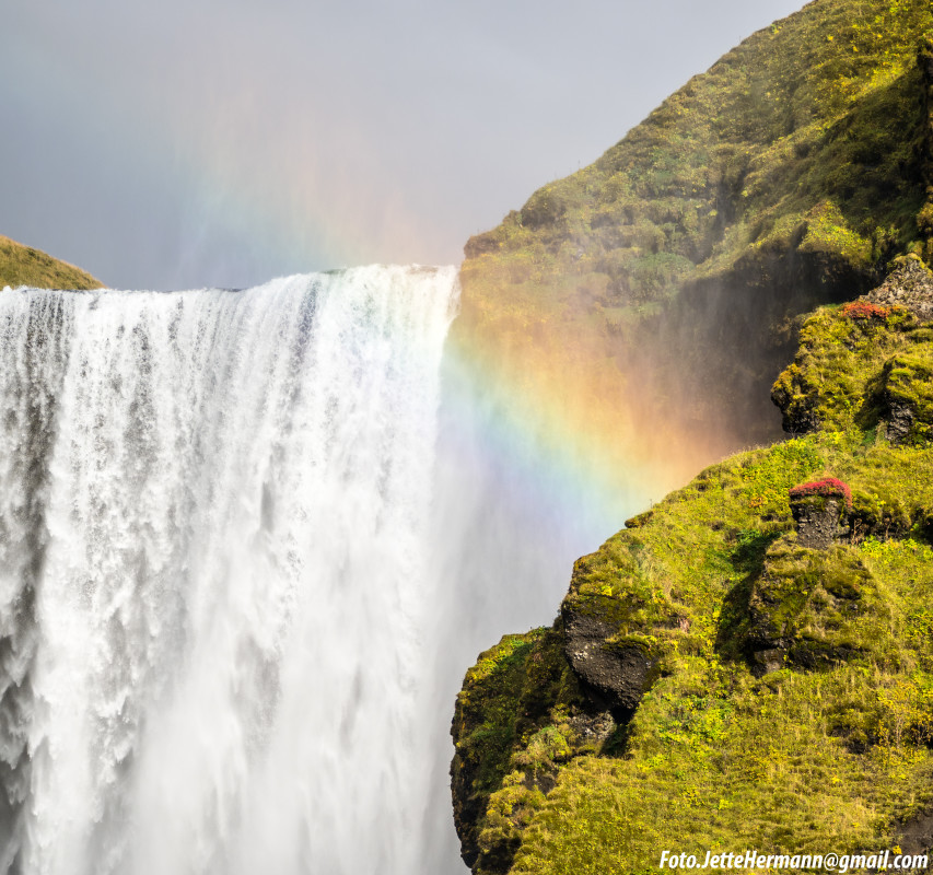 Skogafoss, Island – Jette Hermann