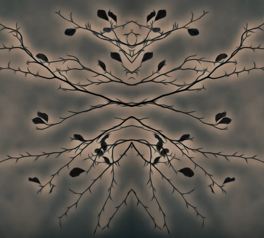LeafMan – Mikkel