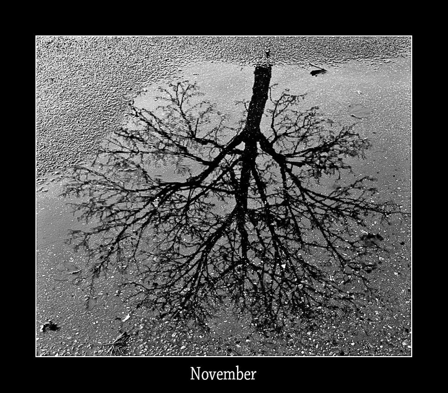 november – Derek Edwards