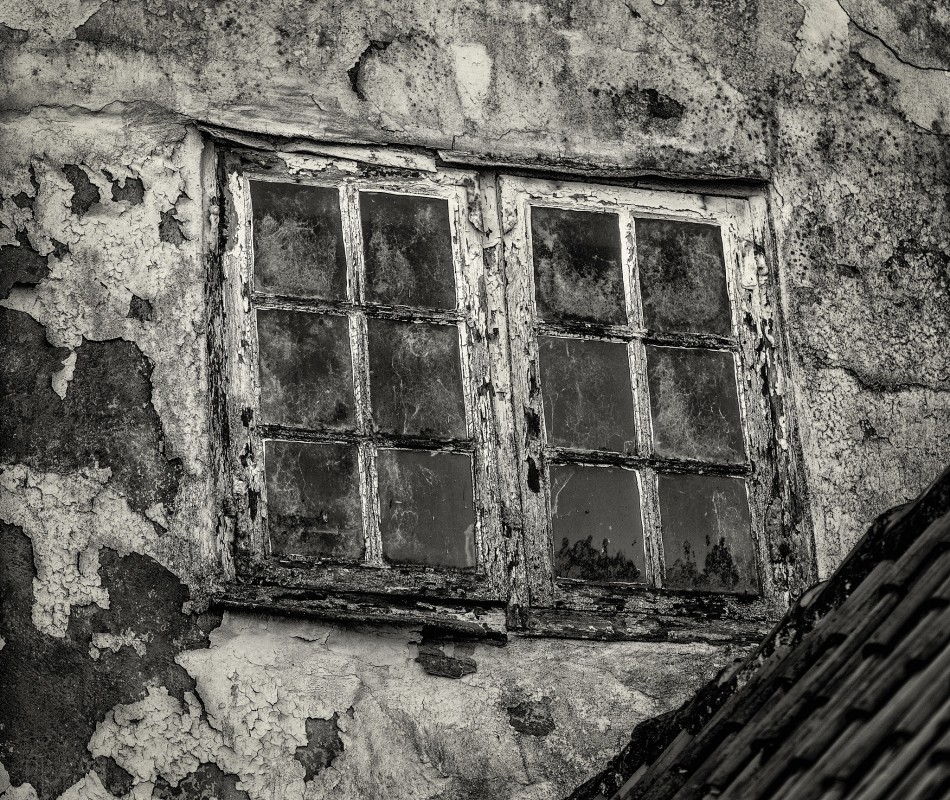 Decay – Mikkel