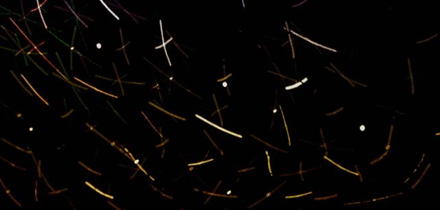 Abstrakt Laser – Stefano Livi