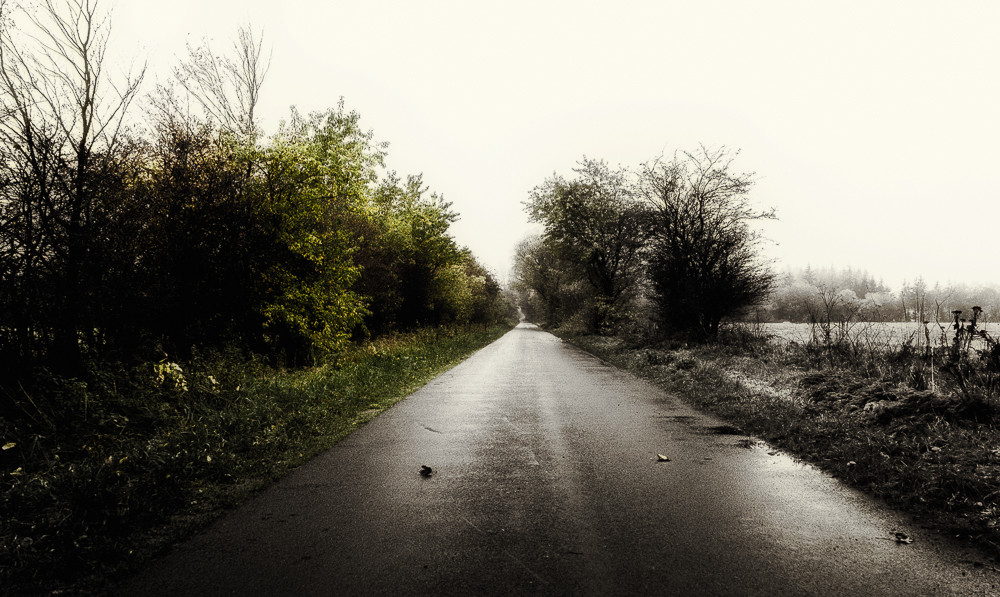 The twillight_ – Stefano Livi