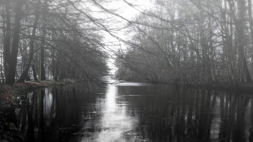 misty – Stefano Livi