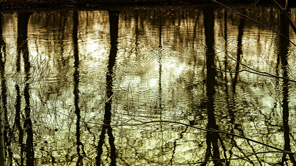 Surface – Stefano Livi