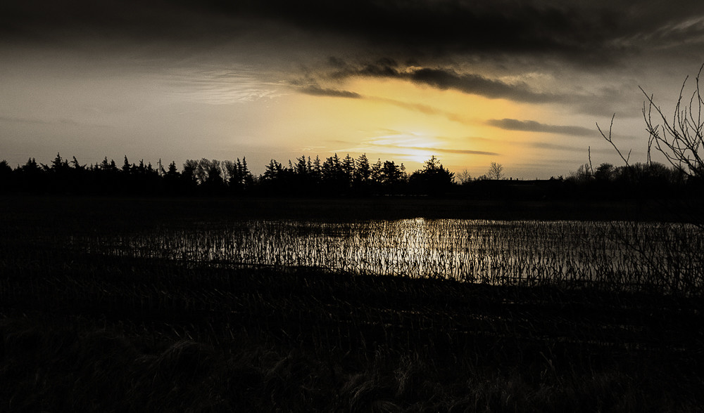 Evening – Stefano Livi