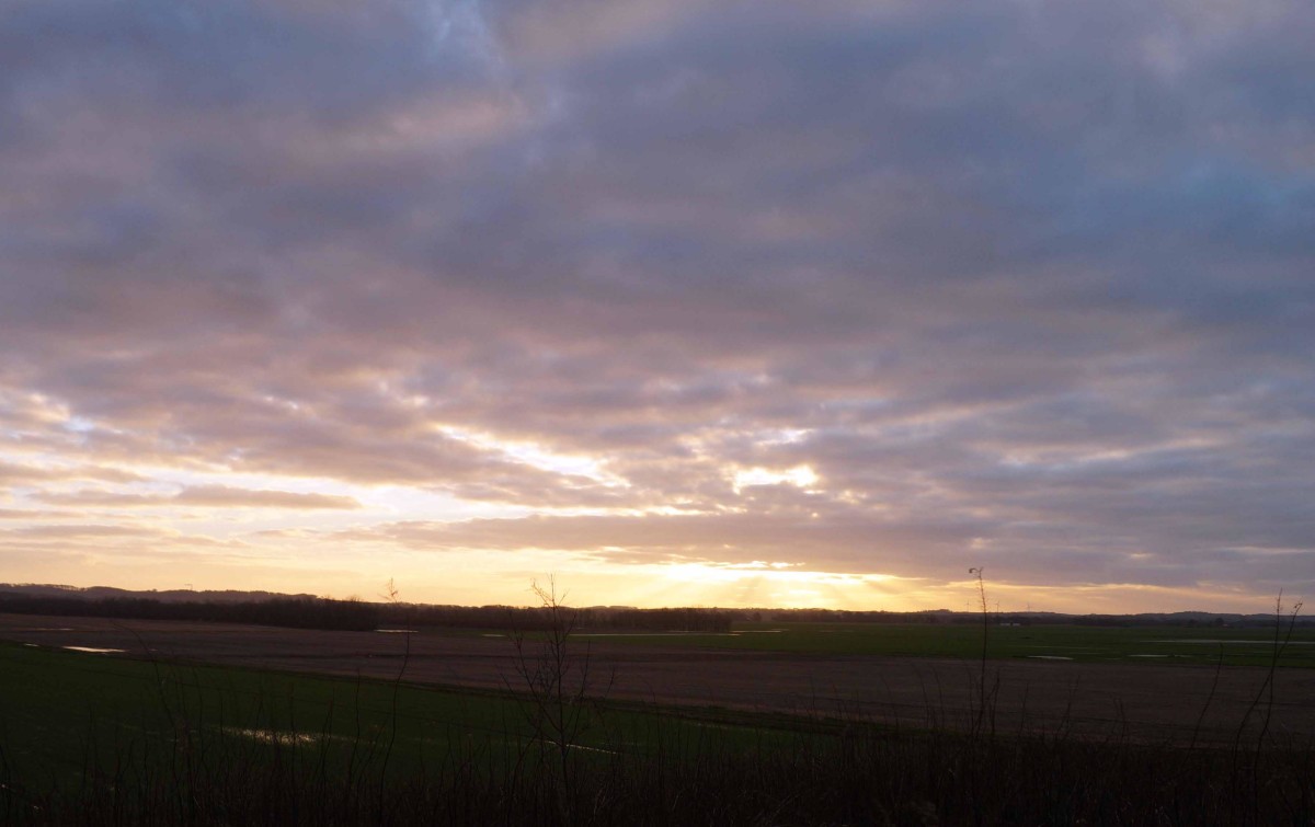 Solnedgang over Ørsted Plantage – Eva Olsen