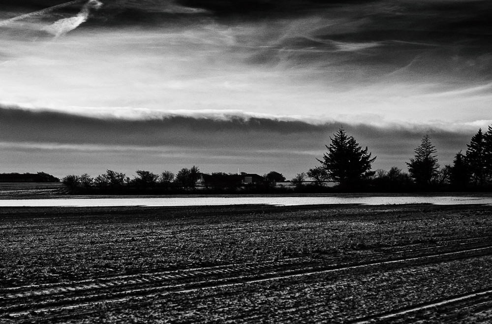 Nature_ – Stefano Livi