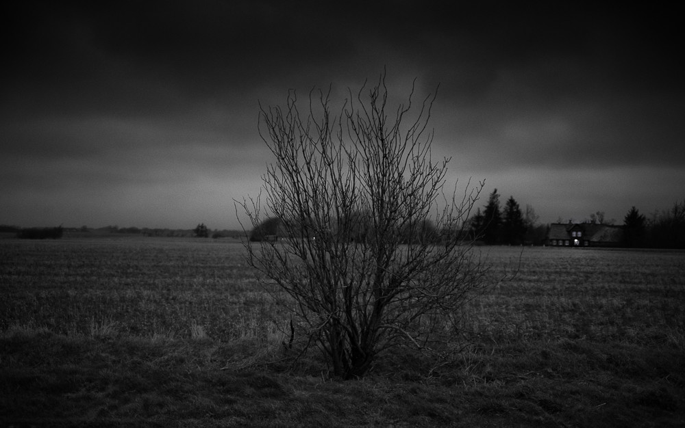 Lonely_ – Stefano Livi