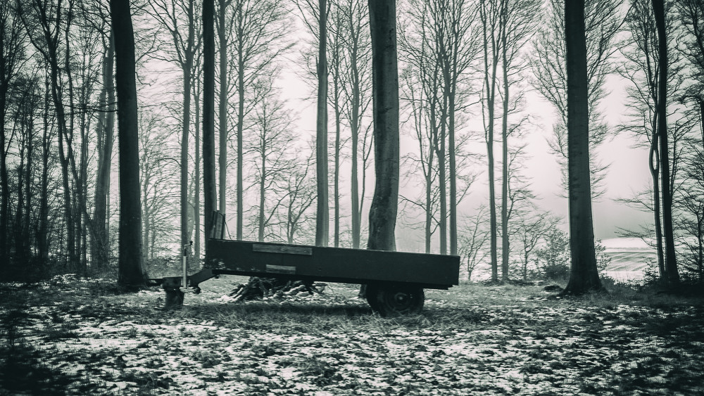 Placed – Stefano Livi