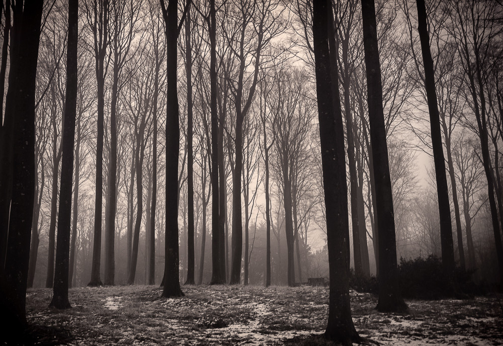 Dark Hazy_ – Stefano Livi