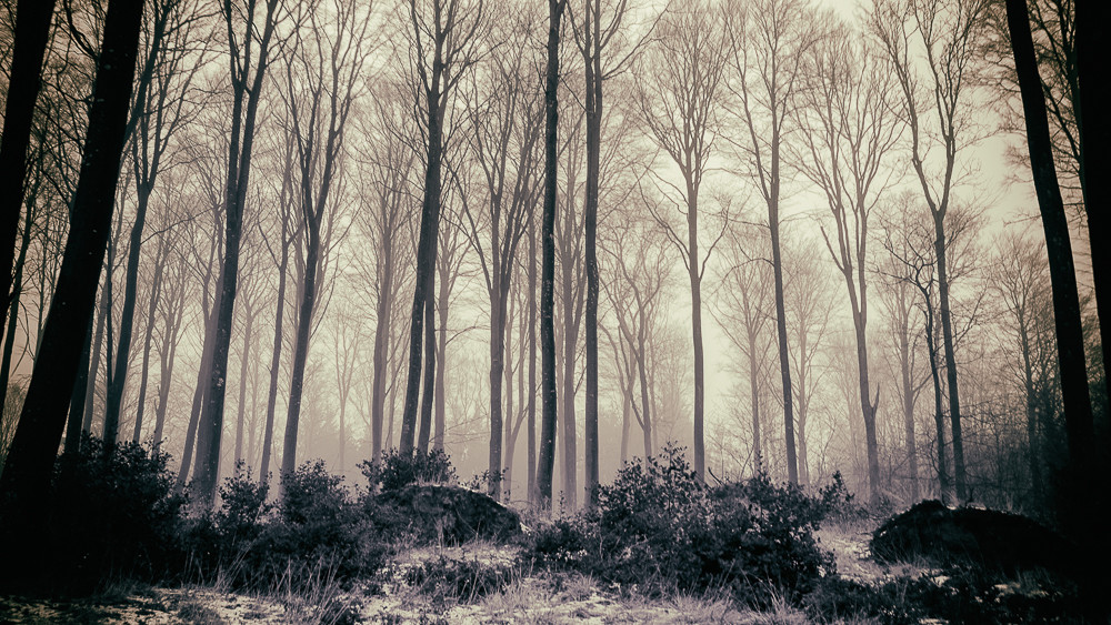 Hazy view_ – Stefano Livi