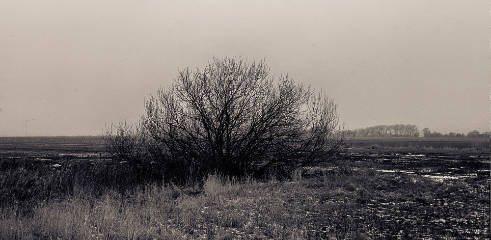 Lonely place – Stefano Livi