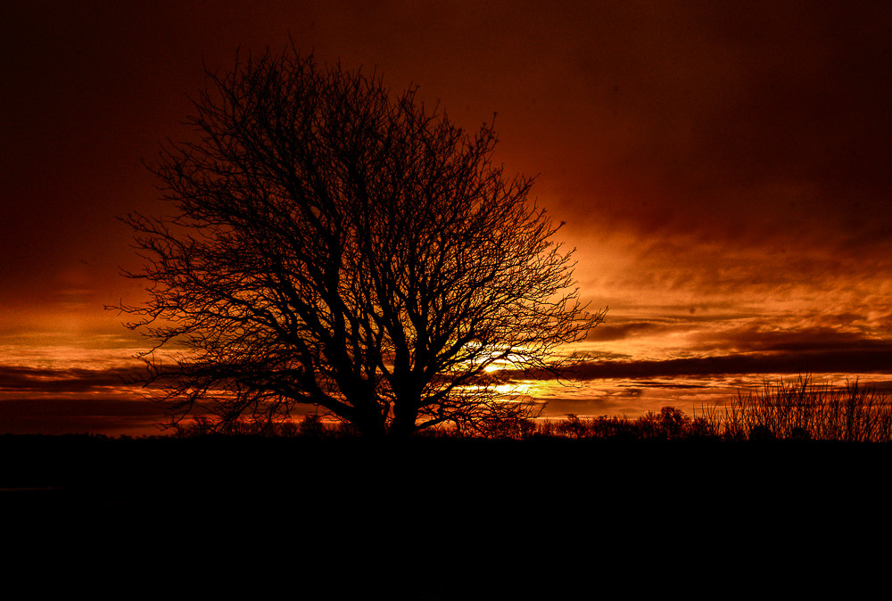 Sun behind sun_ – Stefano Livi
