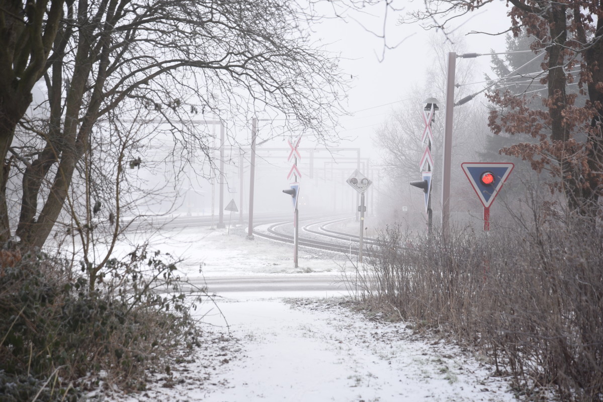 DSC_0246 – Hans Ejvind Nissen