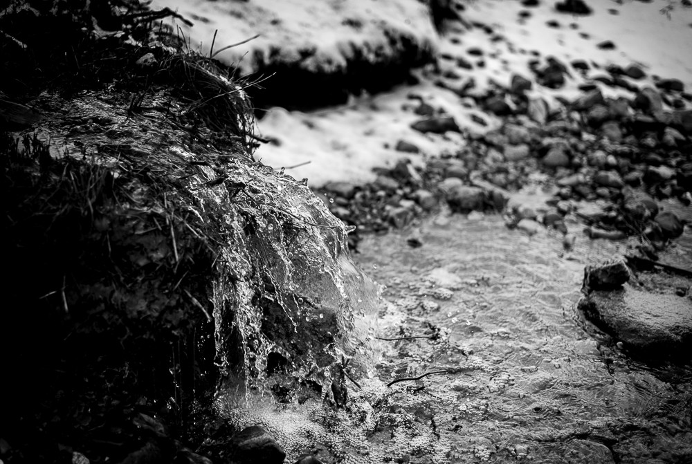 Water 2 – Stefano Livi