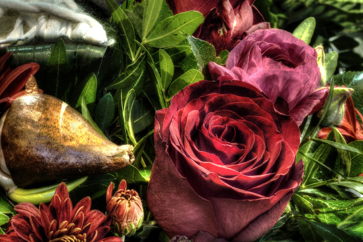 P2133320_1_2_3_4_tonemapped – Morten Sloth Lund Pedersen