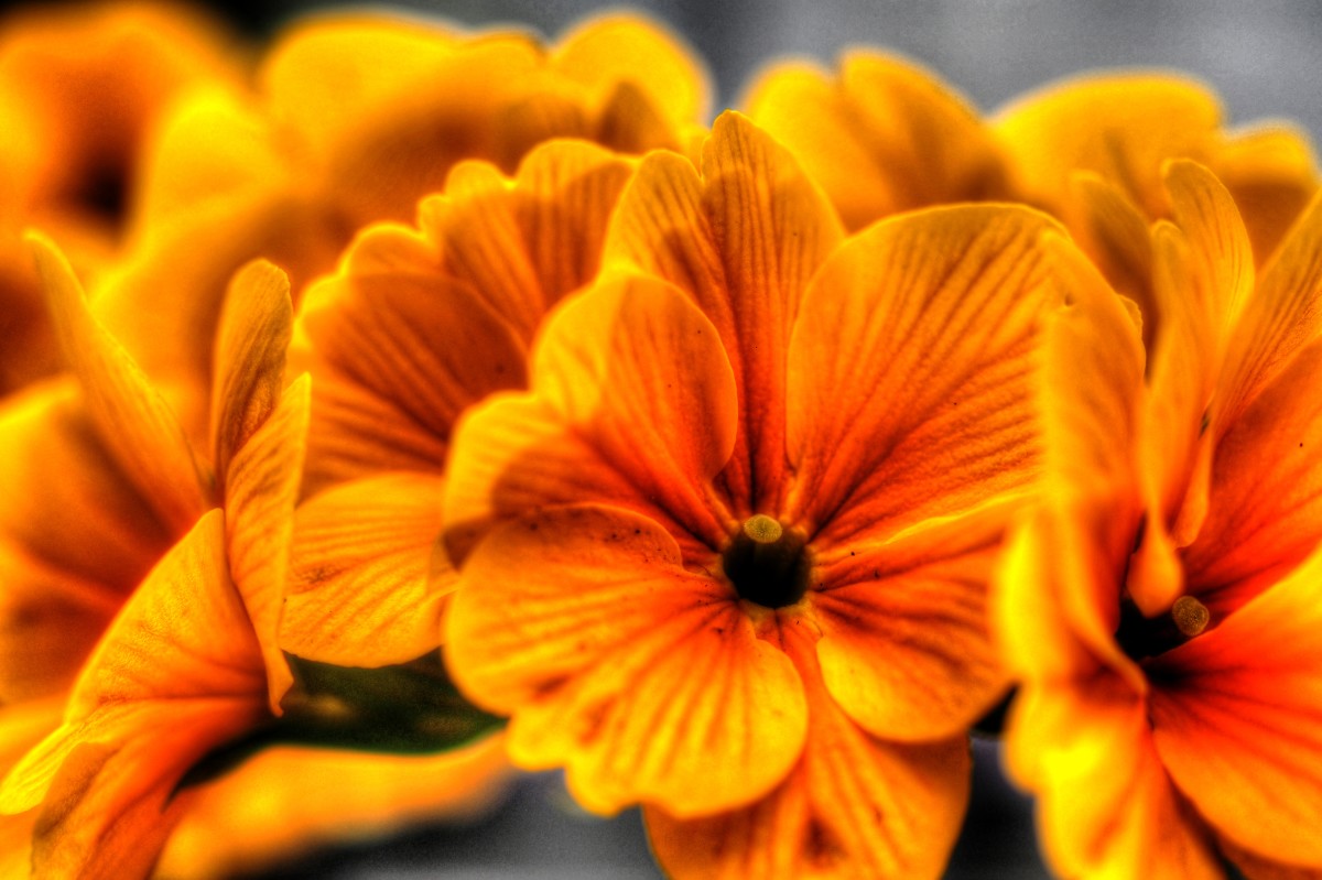 P2133386_7_8_tonemapped – Morten Sloth Lund Pedersen