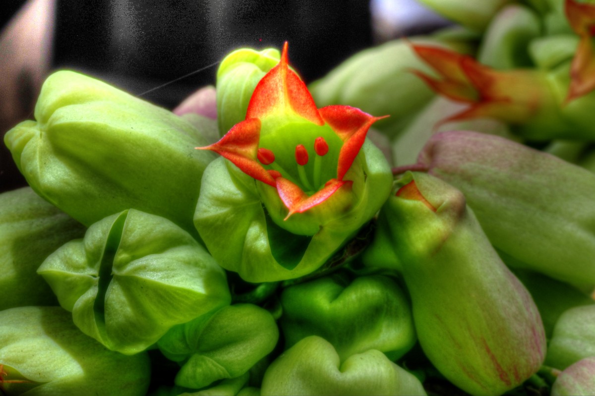 P2133344_5_6_tonemapped – Morten Sloth Lund Pedersen
