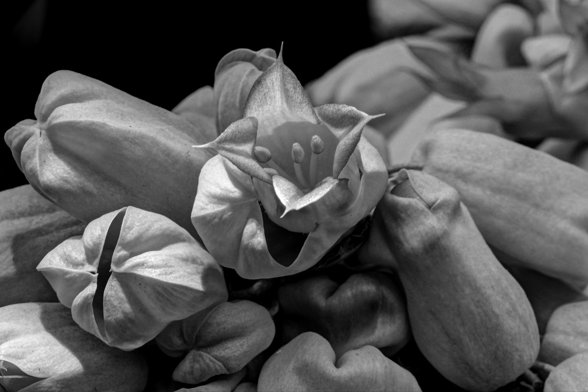 P2133344_5_6_fused – Morten Sloth Lund Pedersen