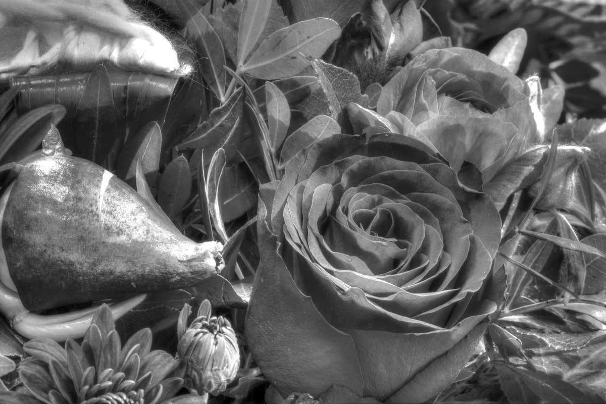 P2133320_1_2_3_4_tonemapped sort_hvid – Morten Sloth Lund Pedersen