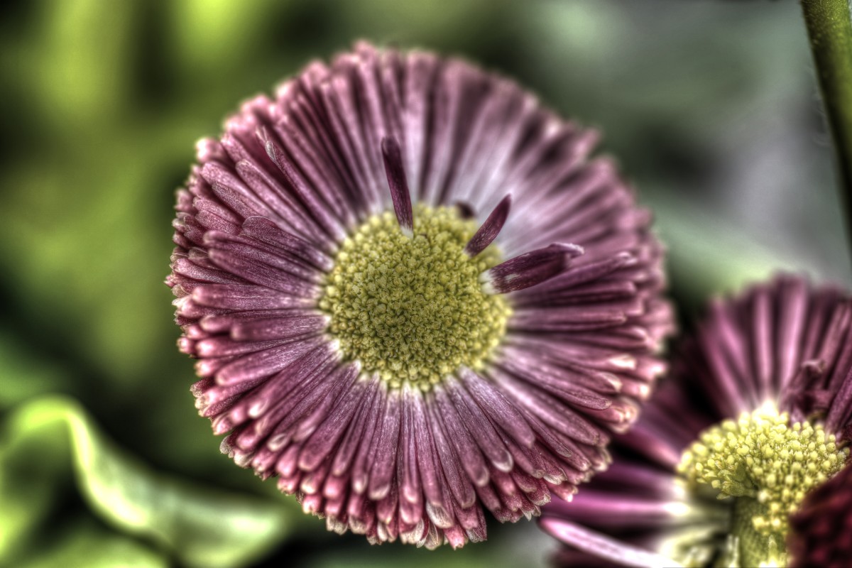 _DSC5877_8_9_tonemapped-2 – Peter R. Larsen 