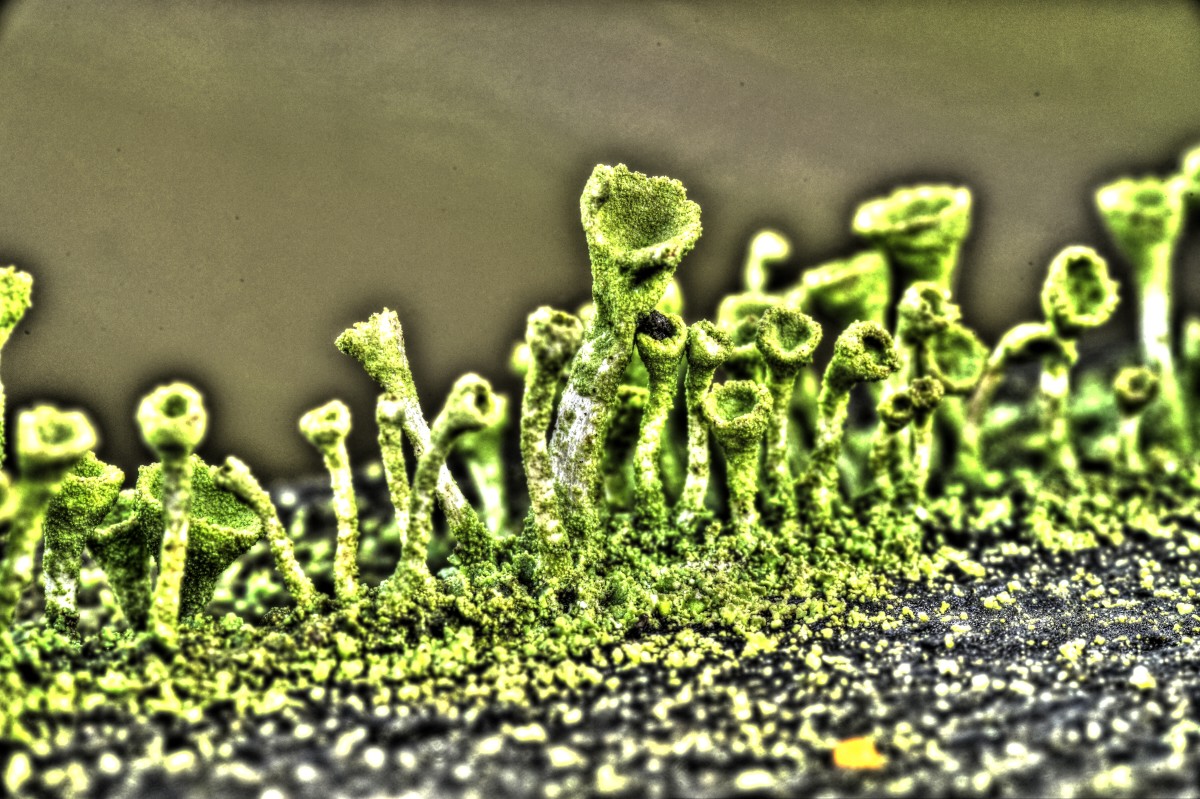 _DSC5893_4_5_tonemapped – Peter R. Larsen 