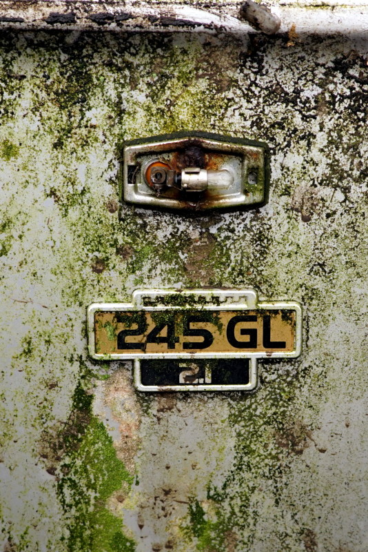 Volvo 245 GL – verner baumann