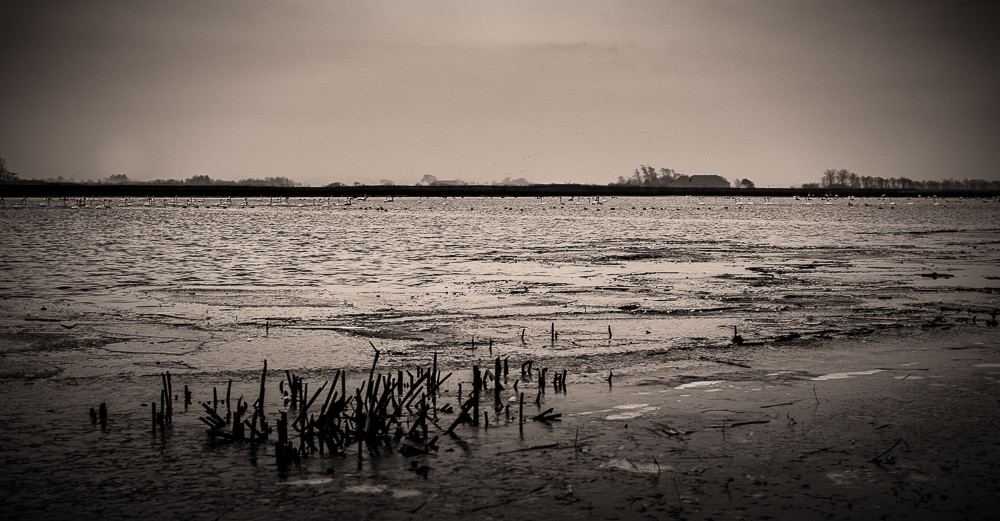 Winther land 7 B&W Edition_ – Stefano Livi