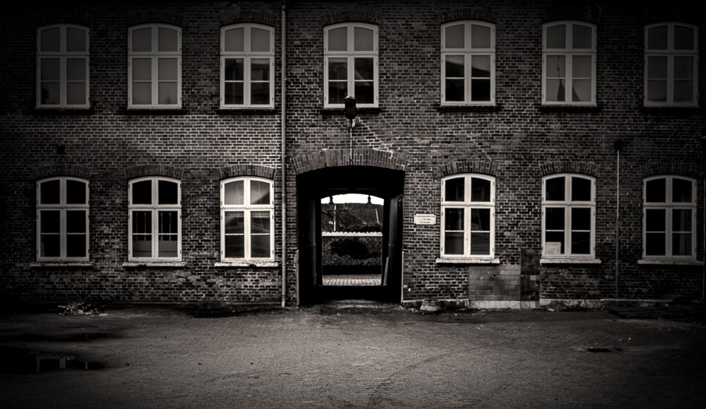 Back Yard 1 – Stefano Livi