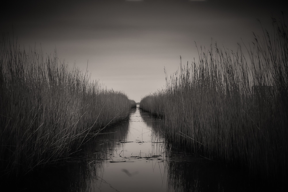 Into Nothing_ – Stefano Livi