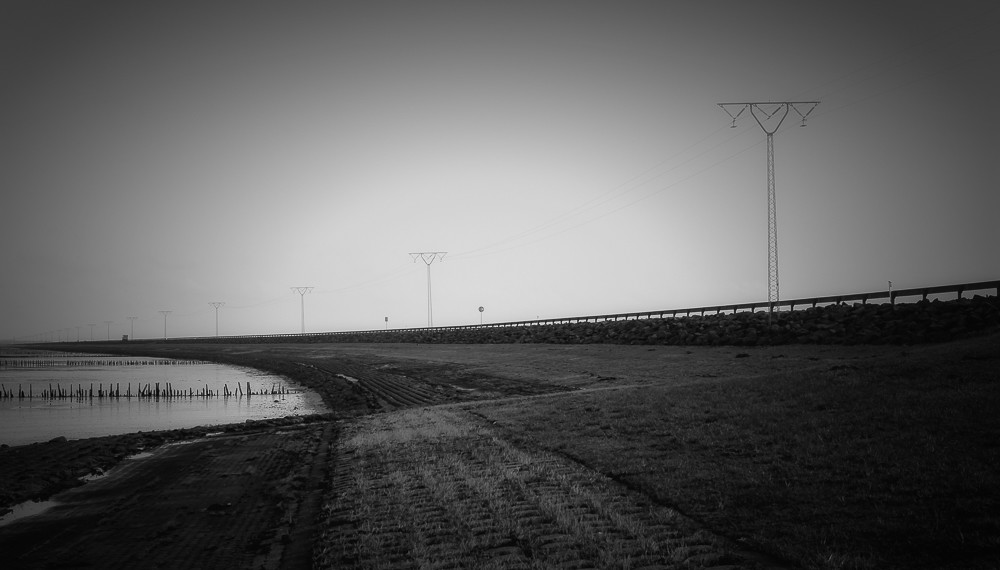 Highway 1 – Stefano Livi